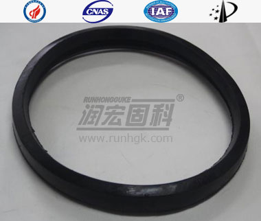 DN200 Seal Rings