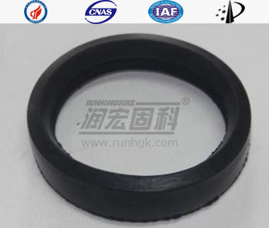 DN80 Seal Rings