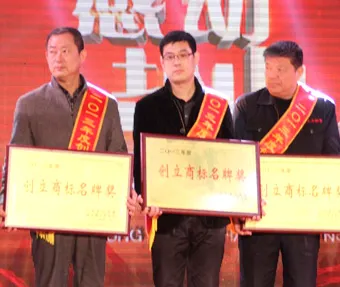 Yanshan County, Hebei&nbsp;Province, Hold Economic Conference,Our Company is Commend by the Government Leaders